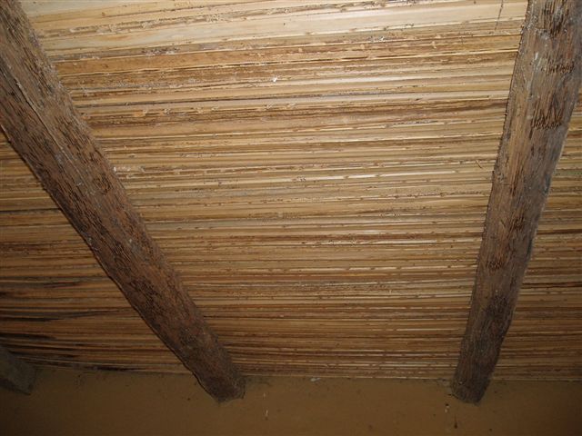 3-plafond-poutre-en-tronc-et-lambris-en-petiole-de-ronier.1208545694.jpg